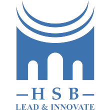 VNU School of Business and Management logo